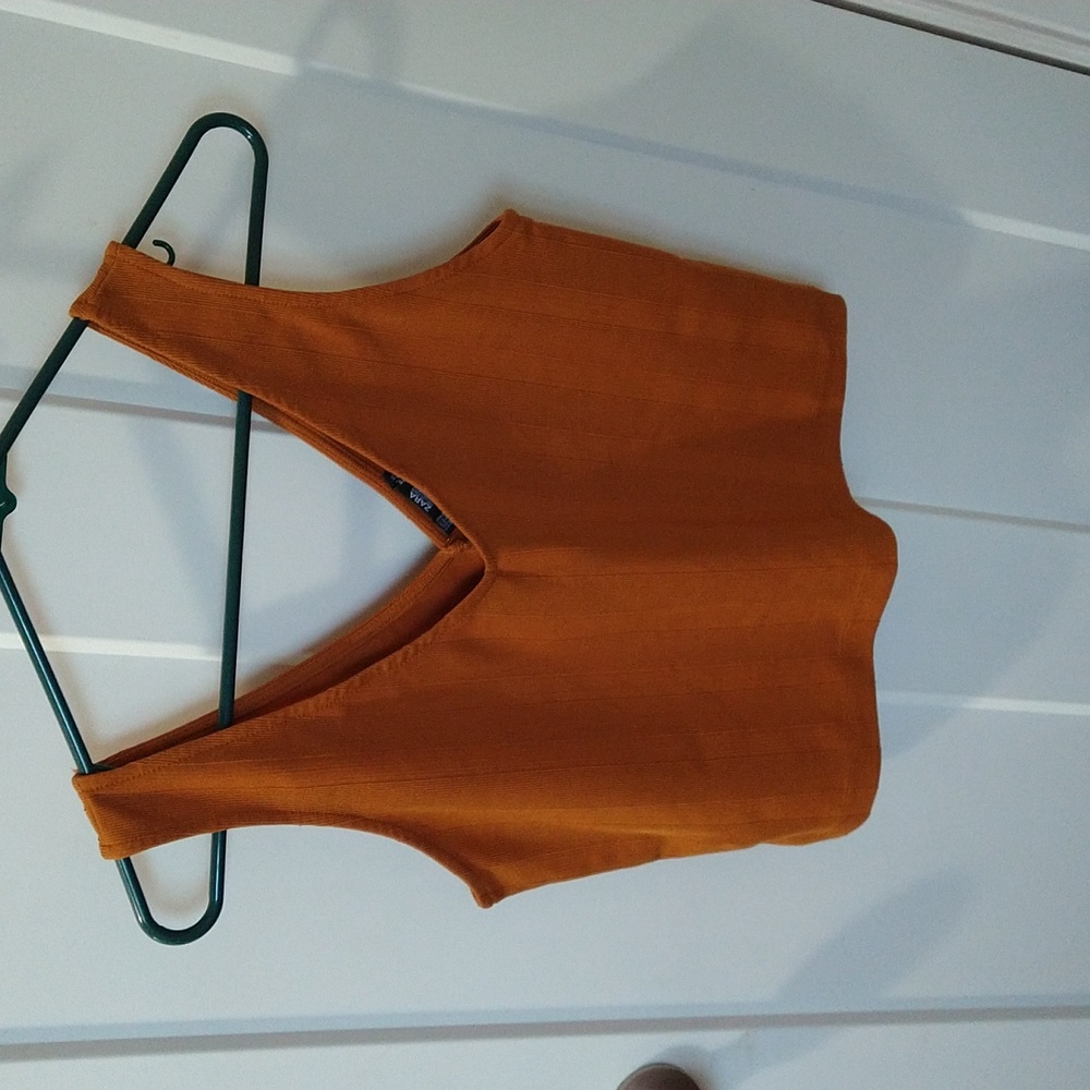 Zara crop Top